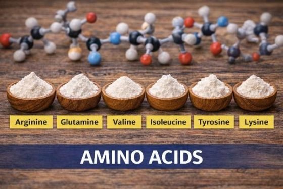 Amino Acids